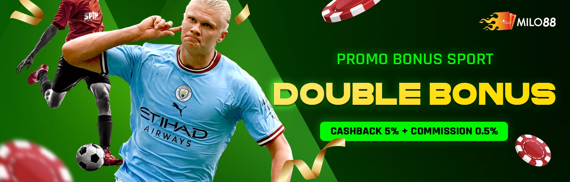 Promo banner 3